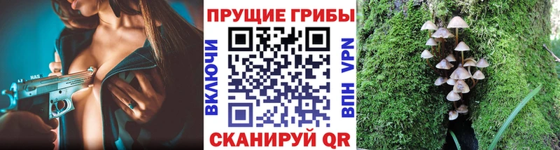 Купить  Смоленск  Галлюциногенные грибы Psilocybe 